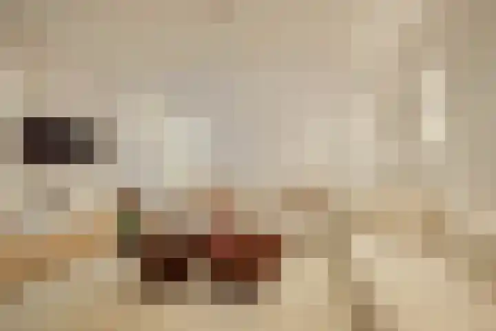Veerstraat 43 H Amsterdam thumbnail 5