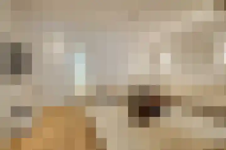 Veerstraat 43 H Amsterdam thumbnail 6