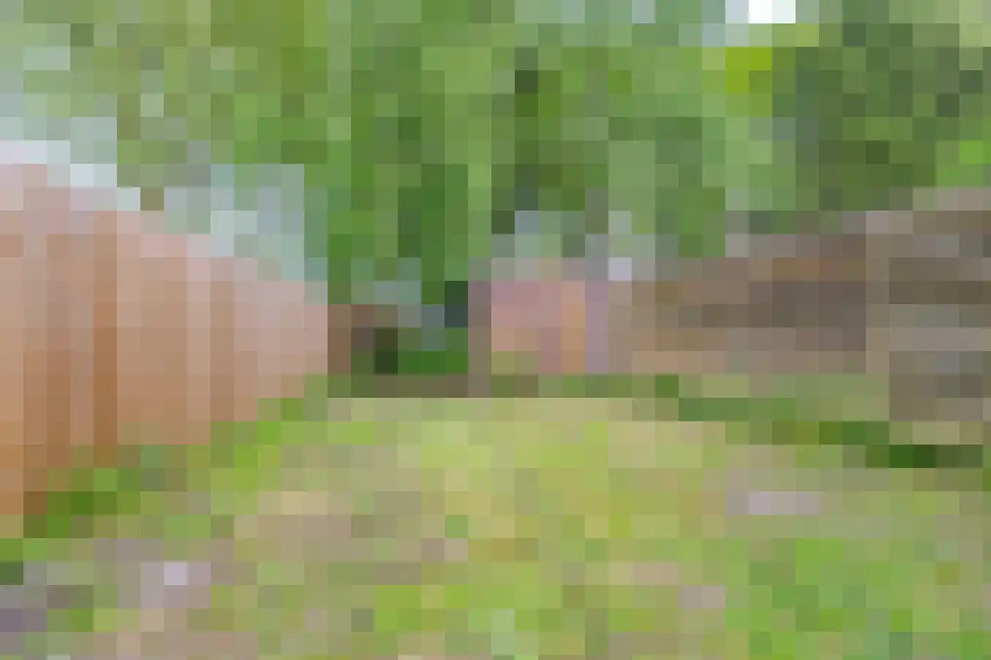 Veerstraat 43 Oude Pekela thumbnail 38