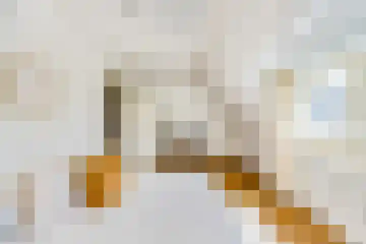 Veerstraat 44 A Hilversum thumbnail 35