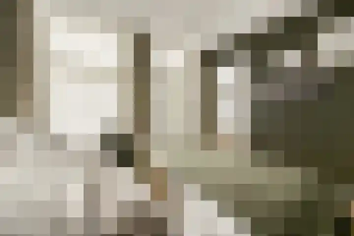 Veerstraat 45 2 Amsterdam thumbnail 10