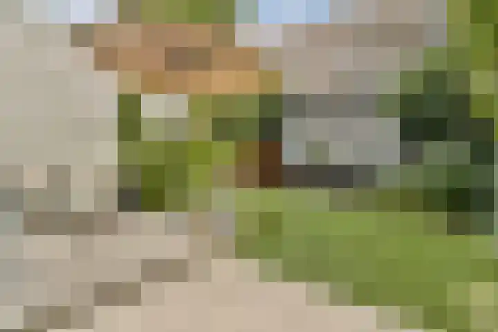 Veerstraat 45 2 Amsterdam thumbnail 8