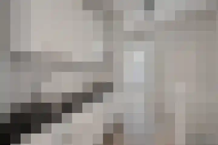 Veerstraat 46 Hilversum thumbnail 8