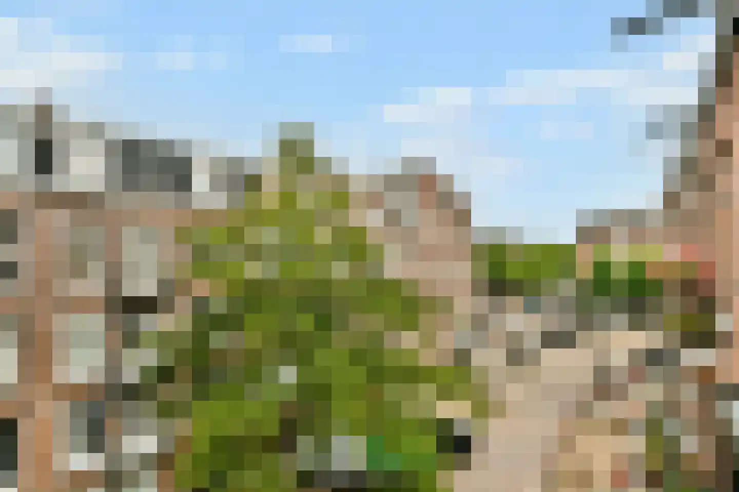 Veerstraat 5 3 Amsterdam thumbnail 12