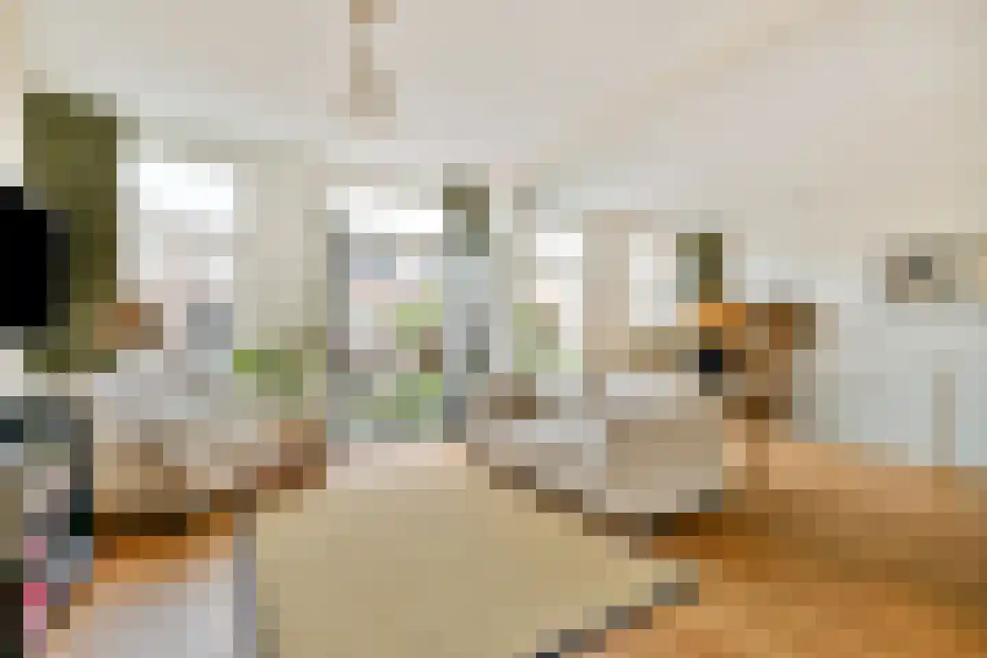 Veerstraat 5 3 Amsterdam thumbnail 4