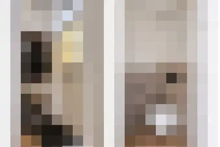 Veerstraat 5 Wijhe thumbnail 15