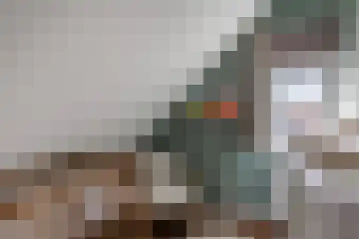 Veerstraat 5 Wijhe thumbnail 19