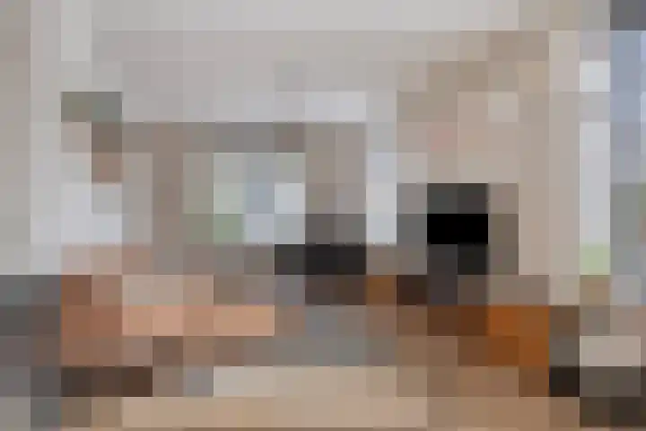 Veerstraat 5 Wijhe thumbnail 5