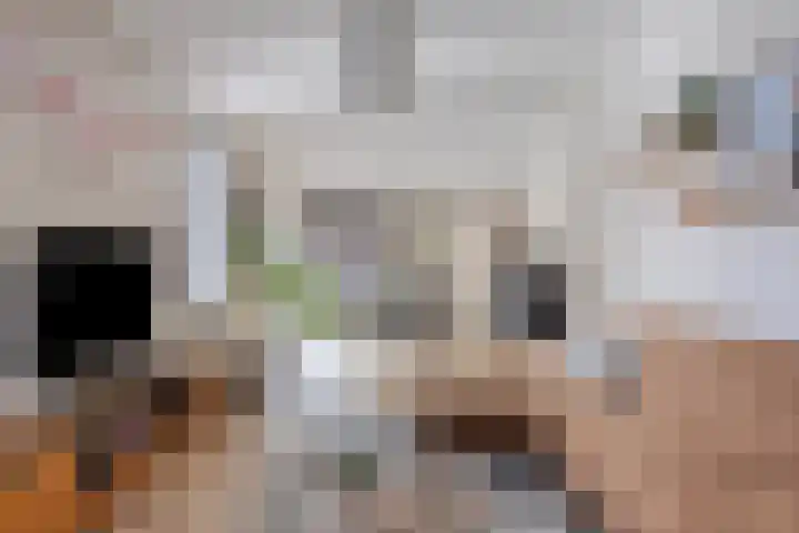 Veerstraat 5 Wijhe thumbnail 6