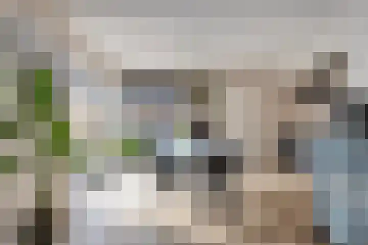 Veerstraat 5 Wijhe thumbnail 8