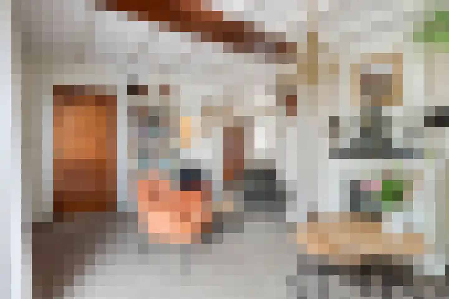 Veerstraat 5 Zaamslag thumbnail 11