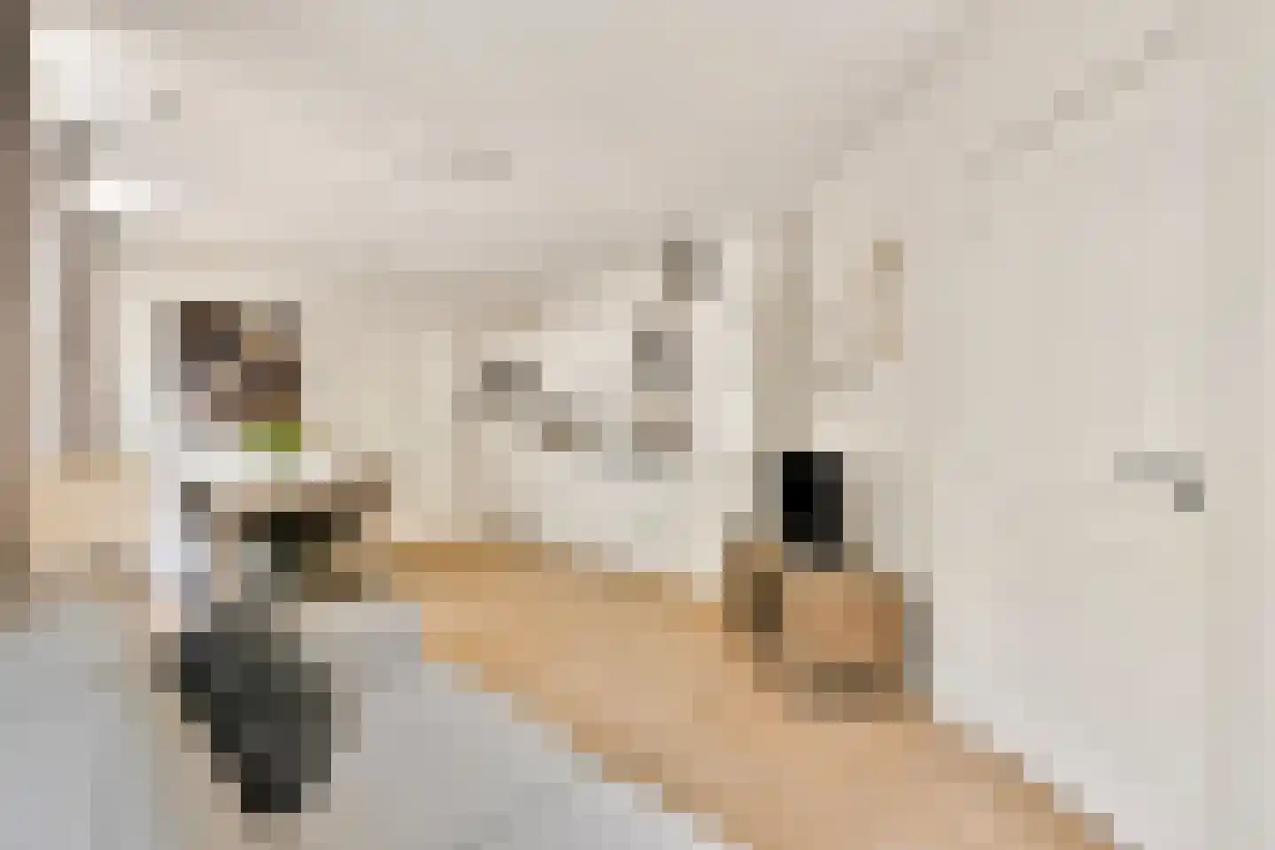 Veerstraat 51 1V Amsterdam thumbnail 5