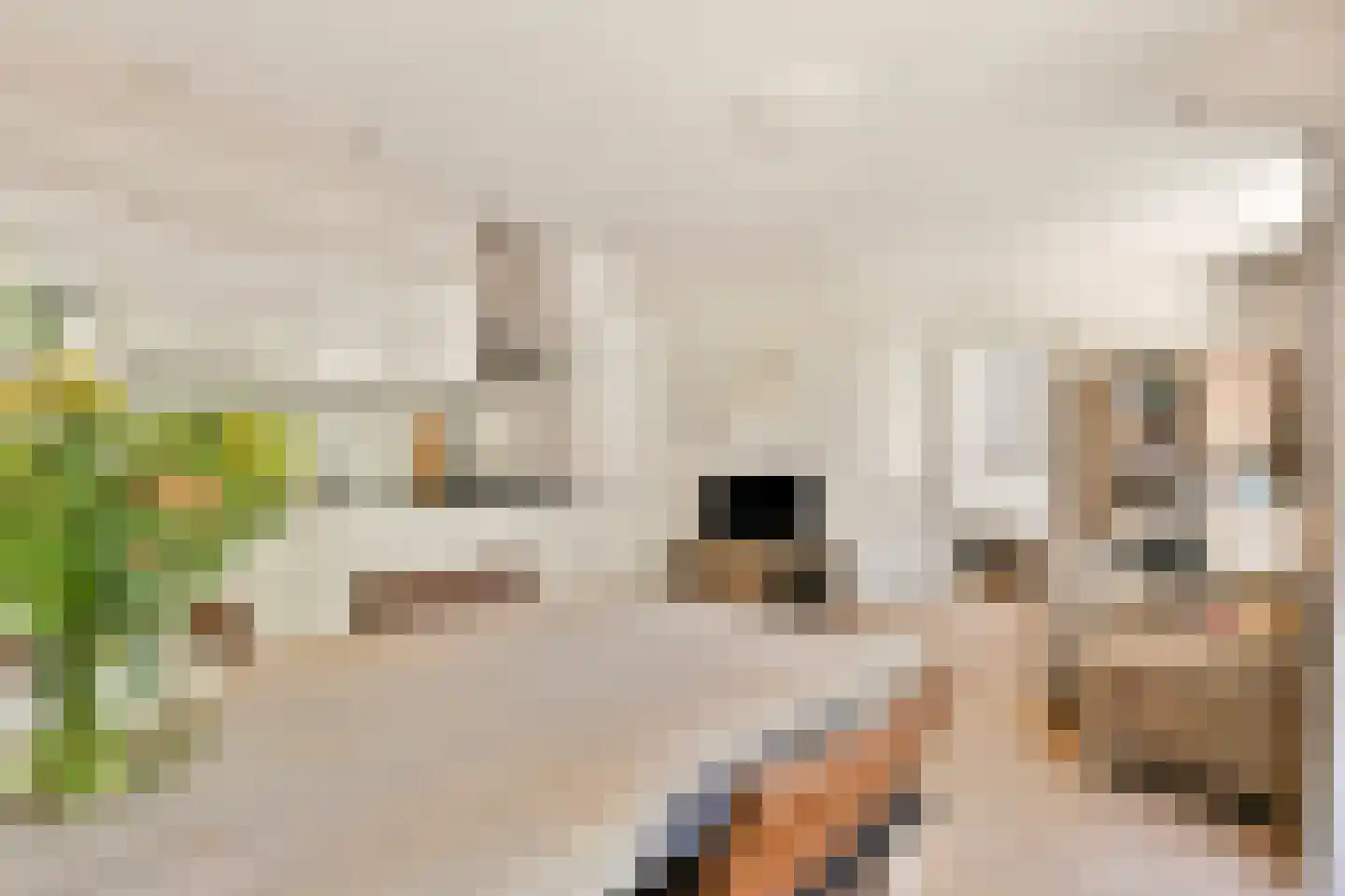 Veerstraat 51 1V Amsterdam thumbnail 6