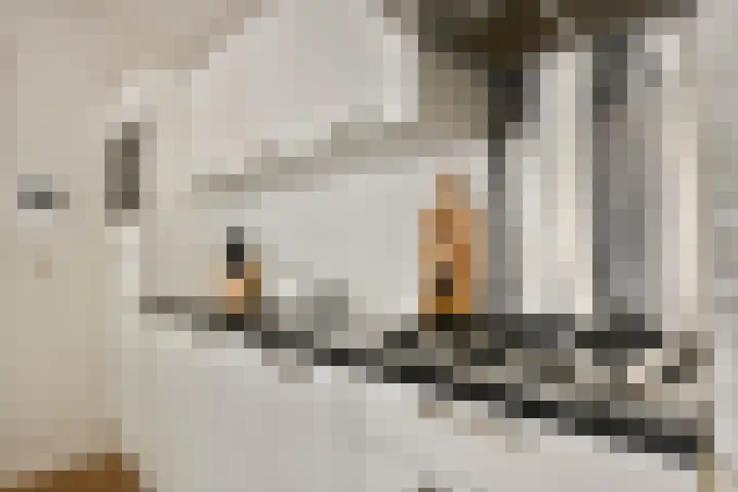 Veerstraat 51 1V Amsterdam thumbnail 9