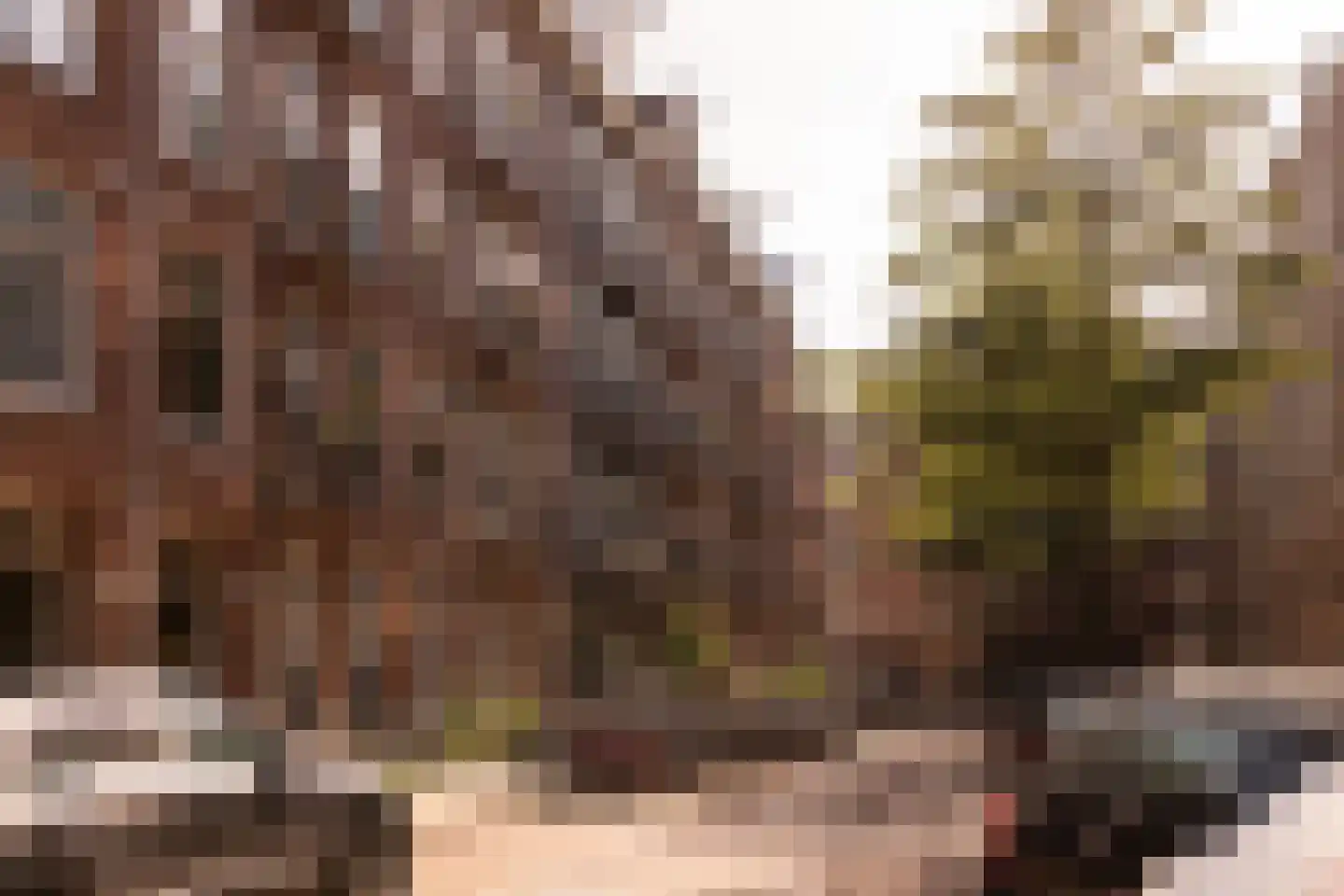 Veerstraat 51 3V Amsterdam thumbnail 32