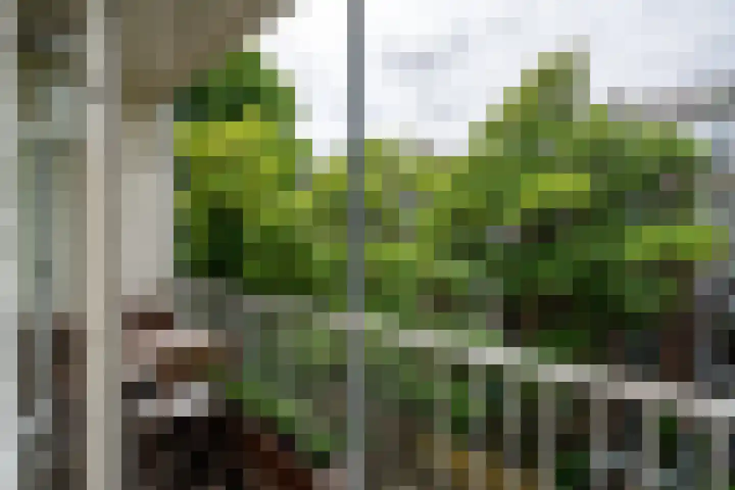 Veerstraat 60 1 Amsterdam thumbnail 37