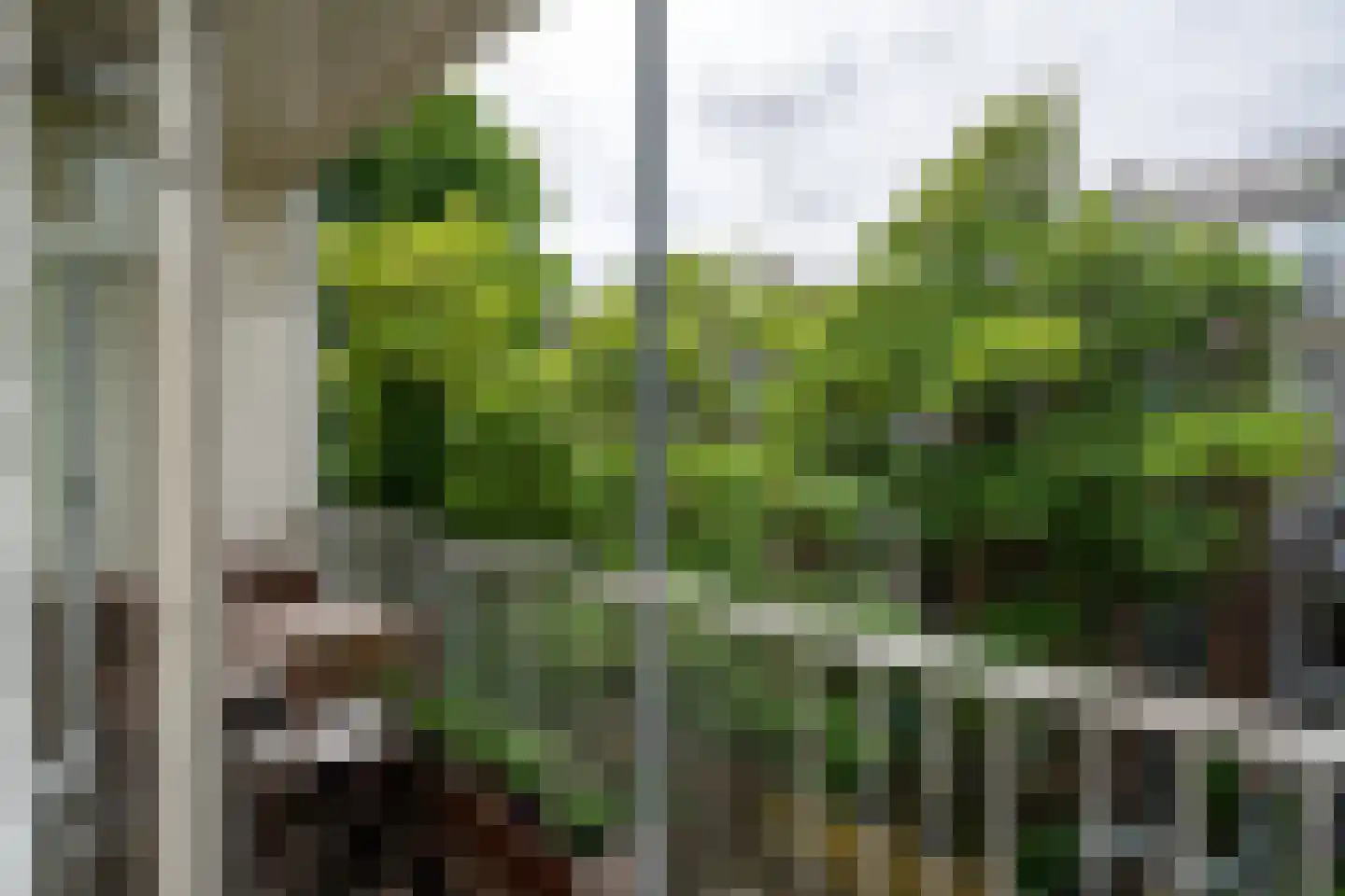 Veerstraat 60 3 Amsterdam thumbnail 37