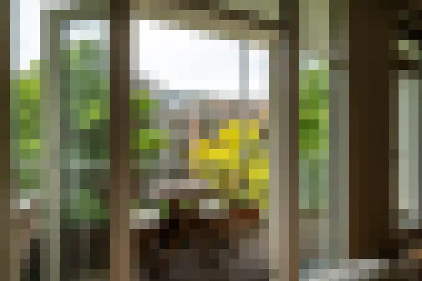 Veerstraat 60 3 Amsterdam thumbnail 7