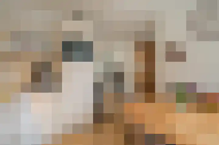 Veerstraat 63 Oude Pekela thumbnail 12