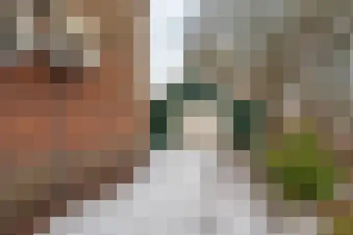 Veerstraat 63 Oude Pekela thumbnail 27