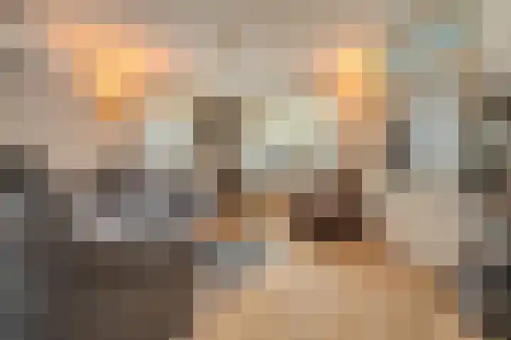 Veerstraat 63 Oude Pekela thumbnail 8