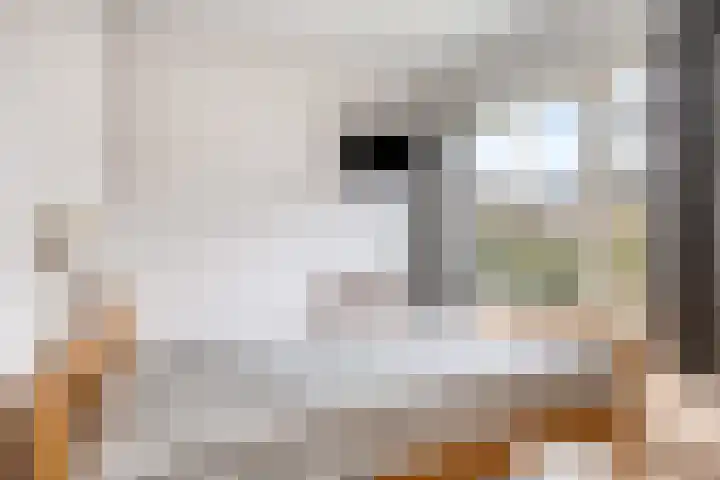 Veerstraat 7 Heerde thumbnail 15