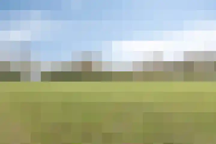 Veerstraat 7 Heerde thumbnail 33