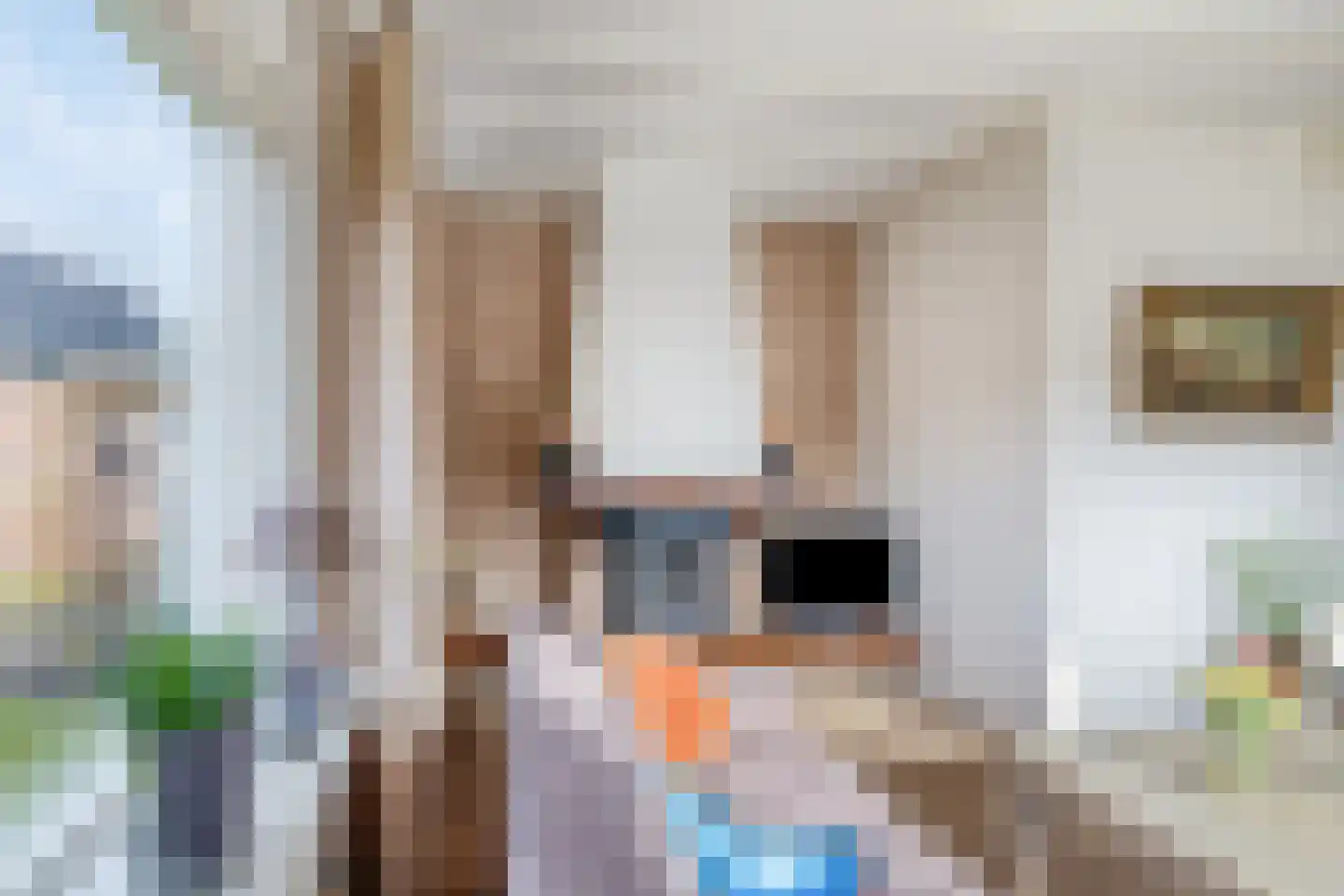 Veerstraat 7 Heerde thumbnail 5