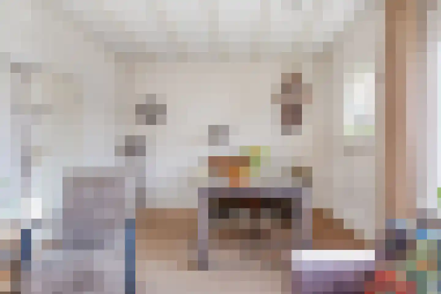 Veerstraat 7 Heerde thumbnail 8