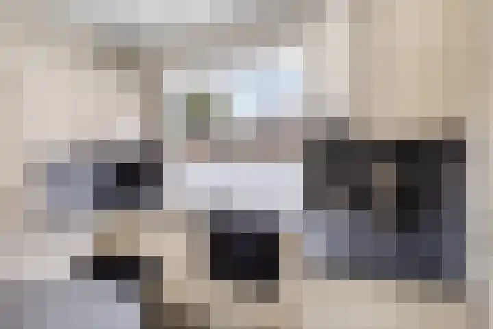 Veerstraat 7 Heerde thumbnail 9