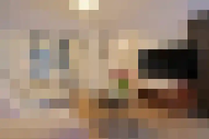 Veerstraat 70 E Amsterdam thumbnail 18