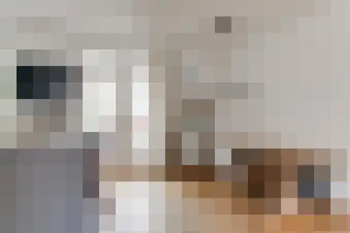 Veerstraat 72 1 Amsterdam thumbnail 14
