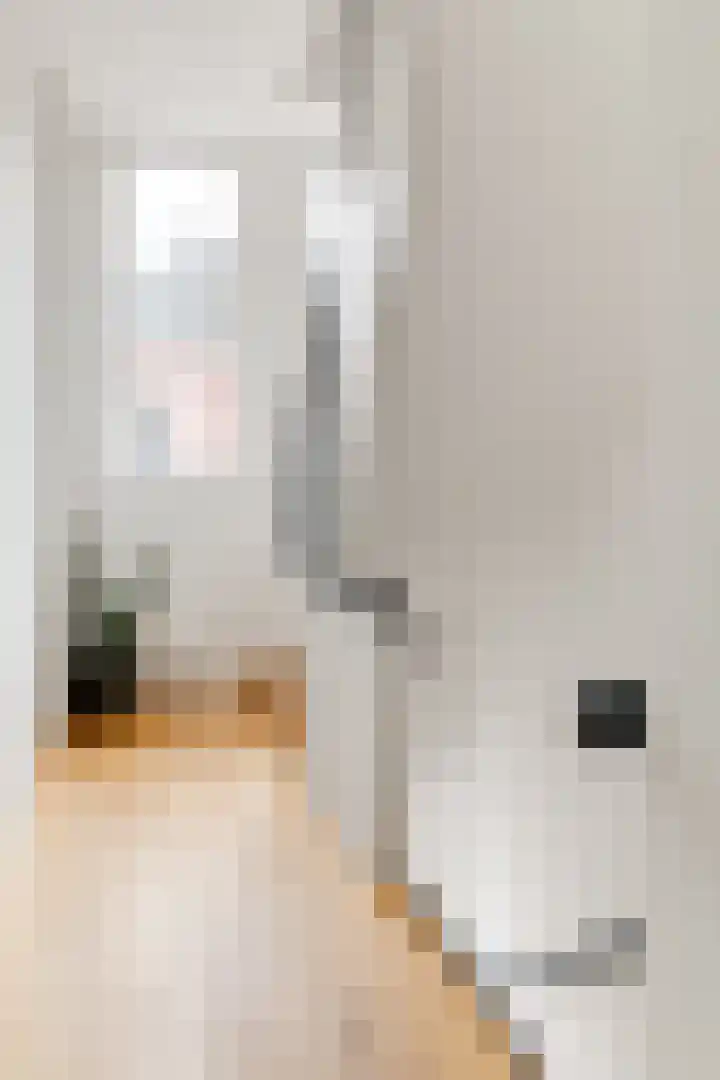 Veerstraat 72 1 Amsterdam thumbnail 30
