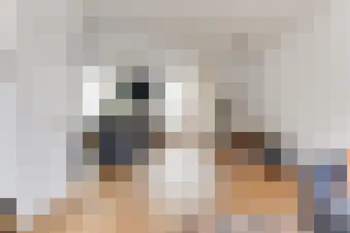 Veerstraat 72 1 Amsterdam thumbnail 8