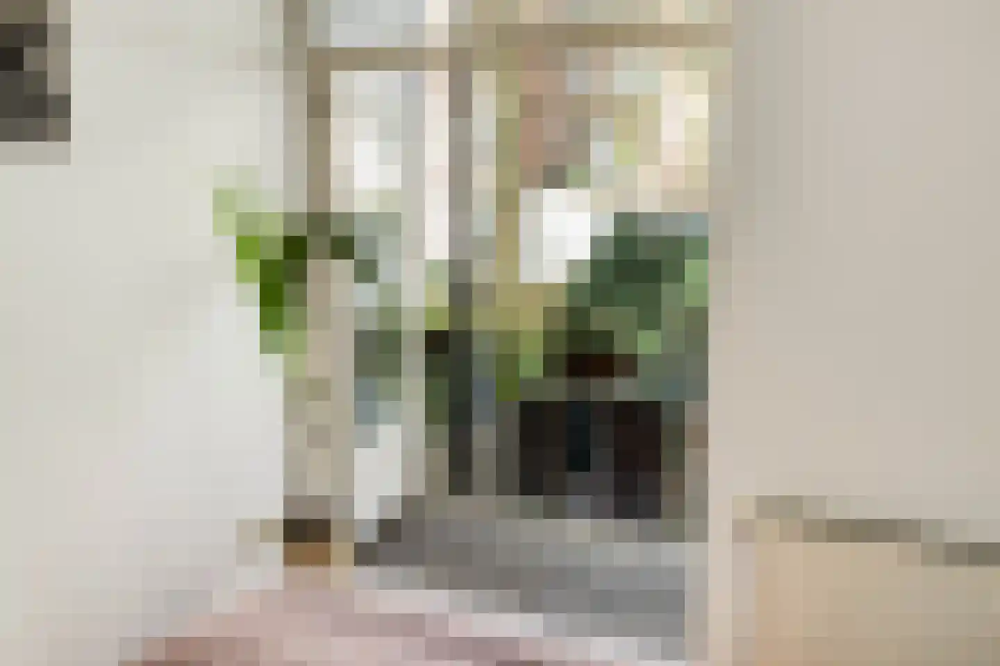 Veerstraat 72 2 Amsterdam thumbnail 20