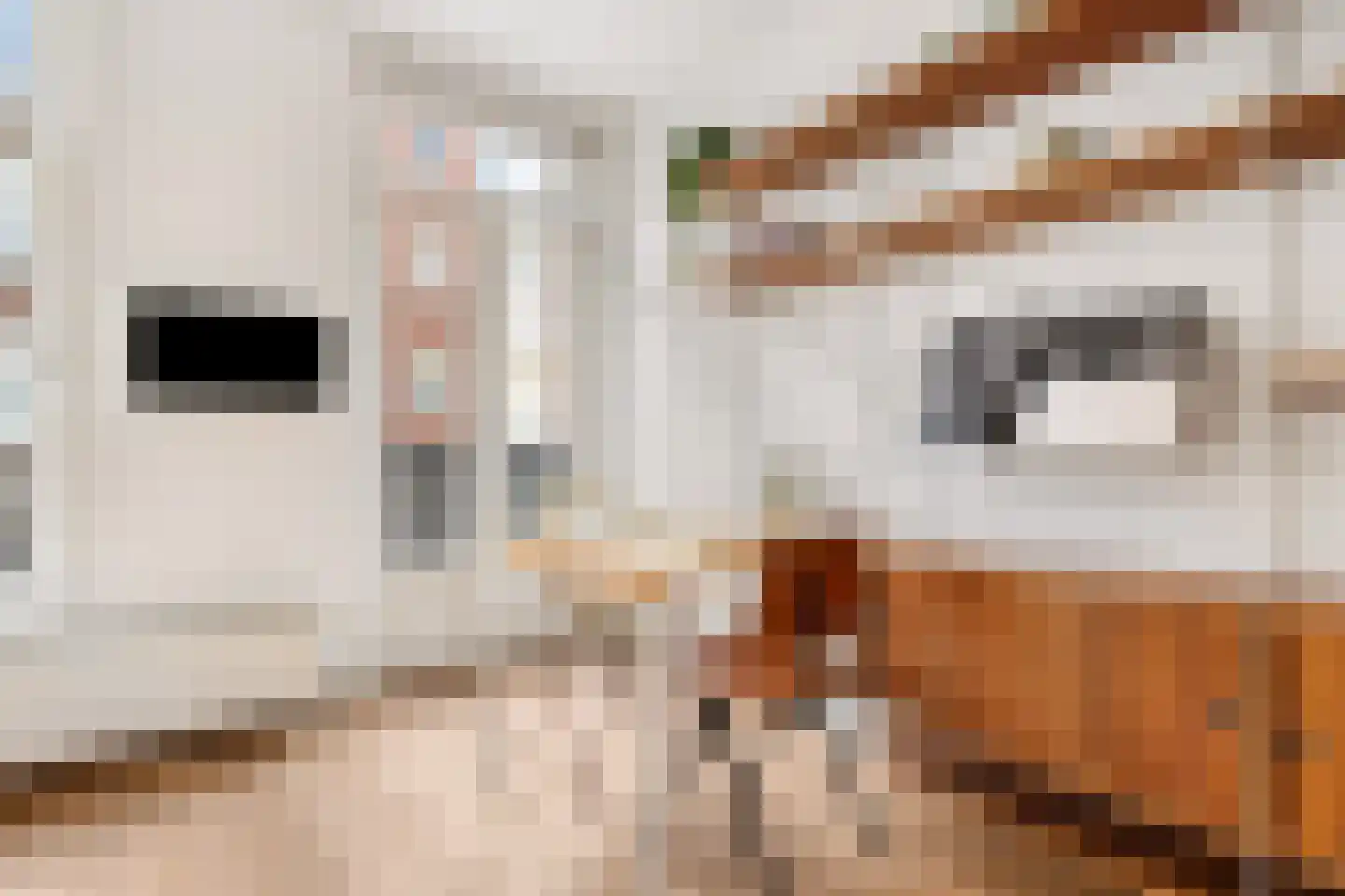 Veerstraat 72 H Amsterdam thumbnail 9