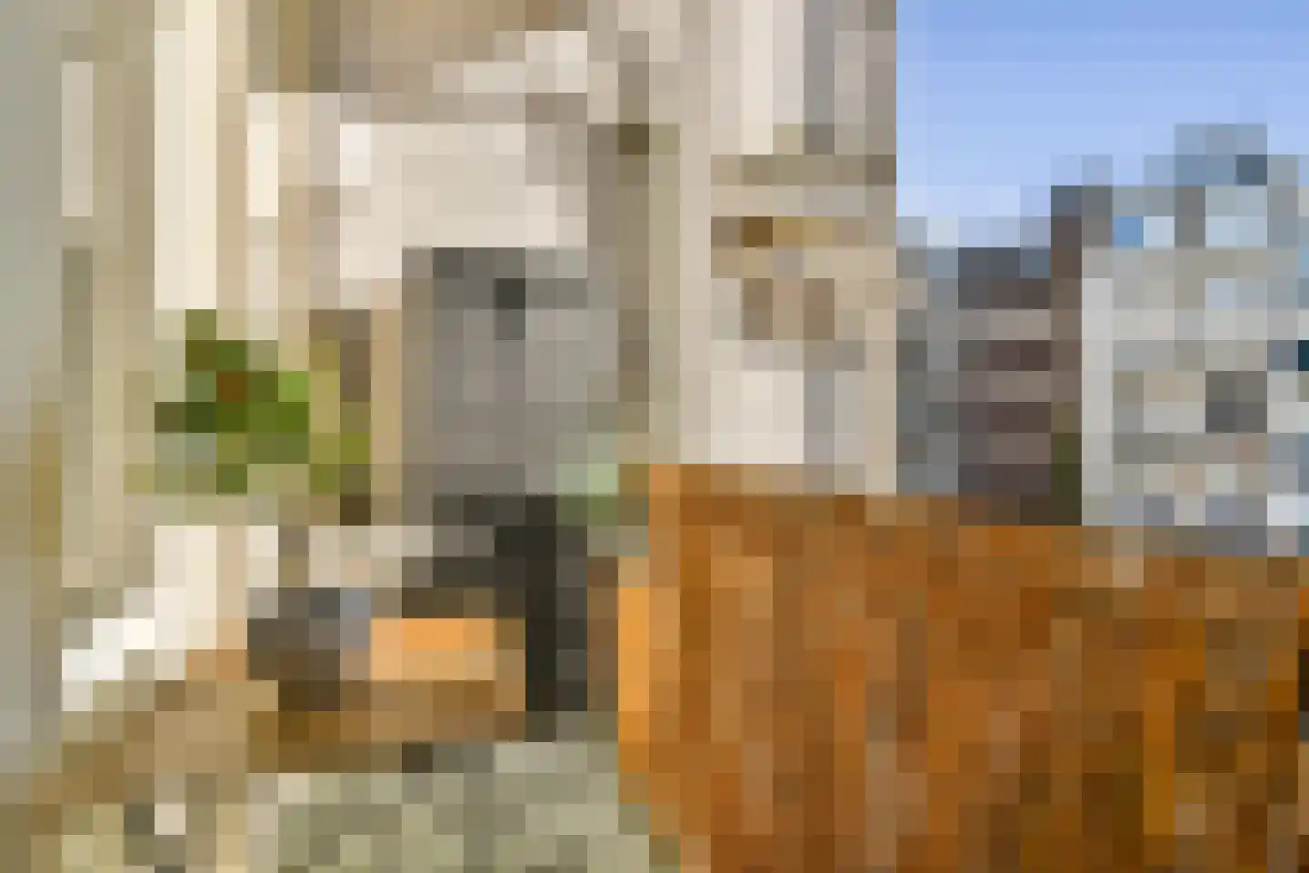 Veerstraat 73 2 Amsterdam thumbnail 15