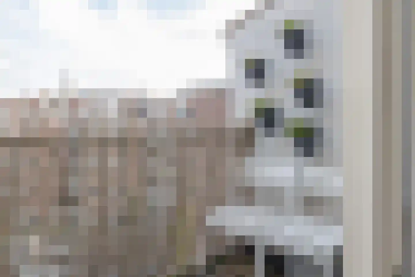 Veerstraat 75 3 Amsterdam thumbnail 12