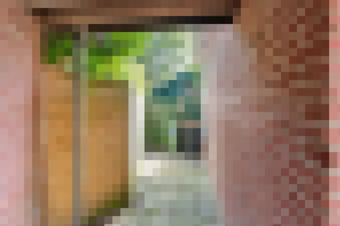 Veerstraat 8 Wijhe thumbnail 17