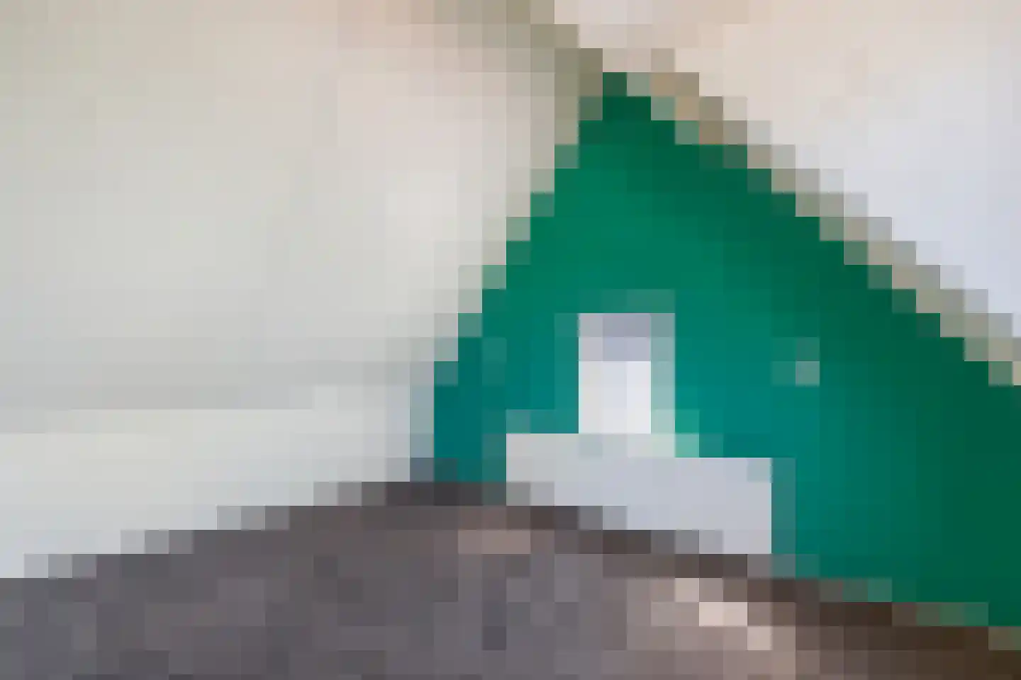 Veerstraat 8 Wijhe thumbnail 21