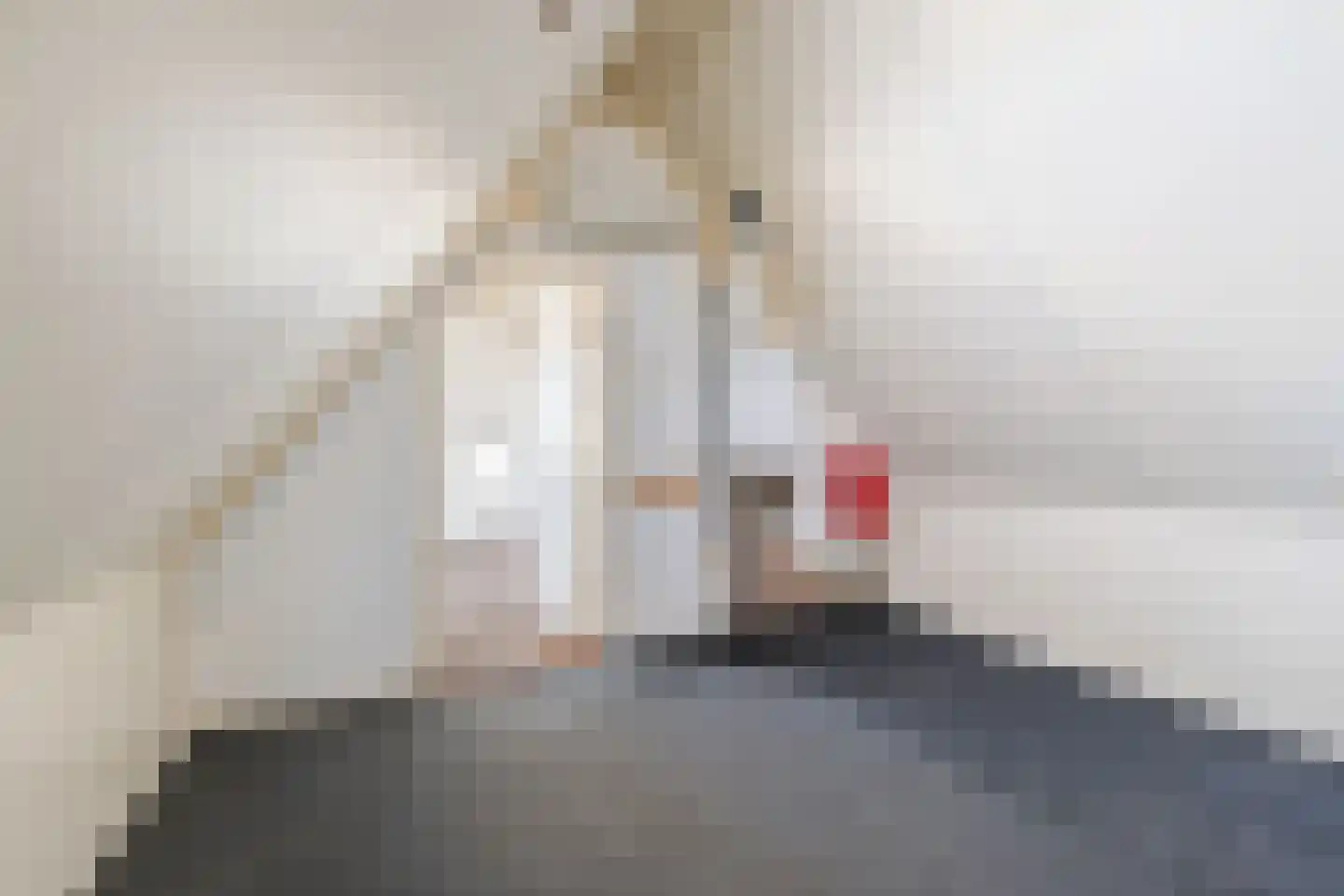 Veerstraat 8 Wijhe thumbnail 22
