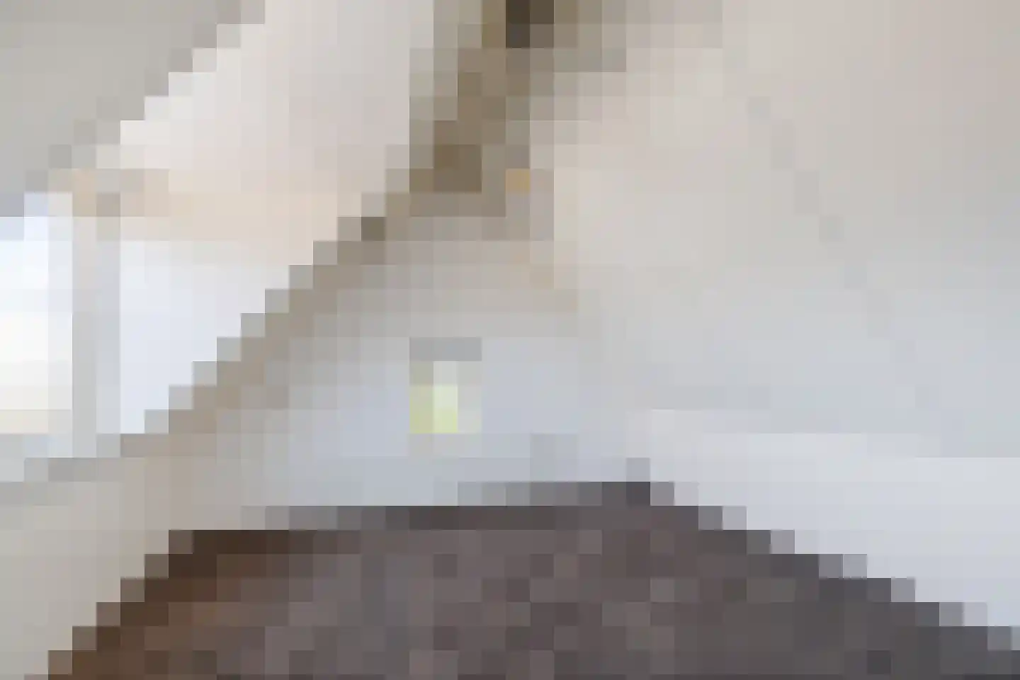 Veerstraat 8 Wijhe thumbnail 23