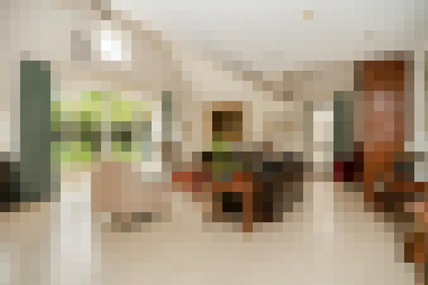 Veerstraat 9 a Dreumel thumbnail 10