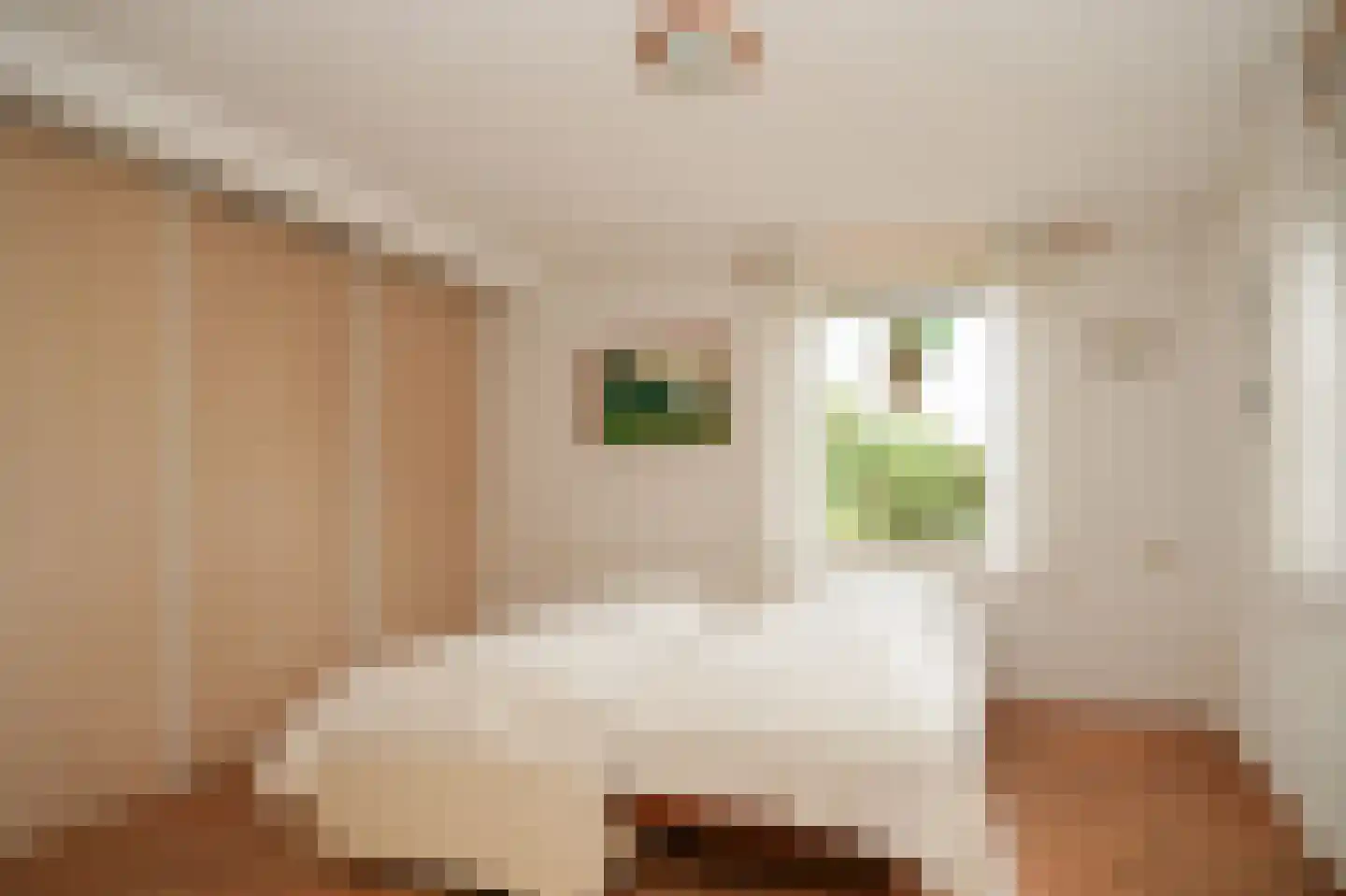 Veerstraat 9 a Dreumel thumbnail 15