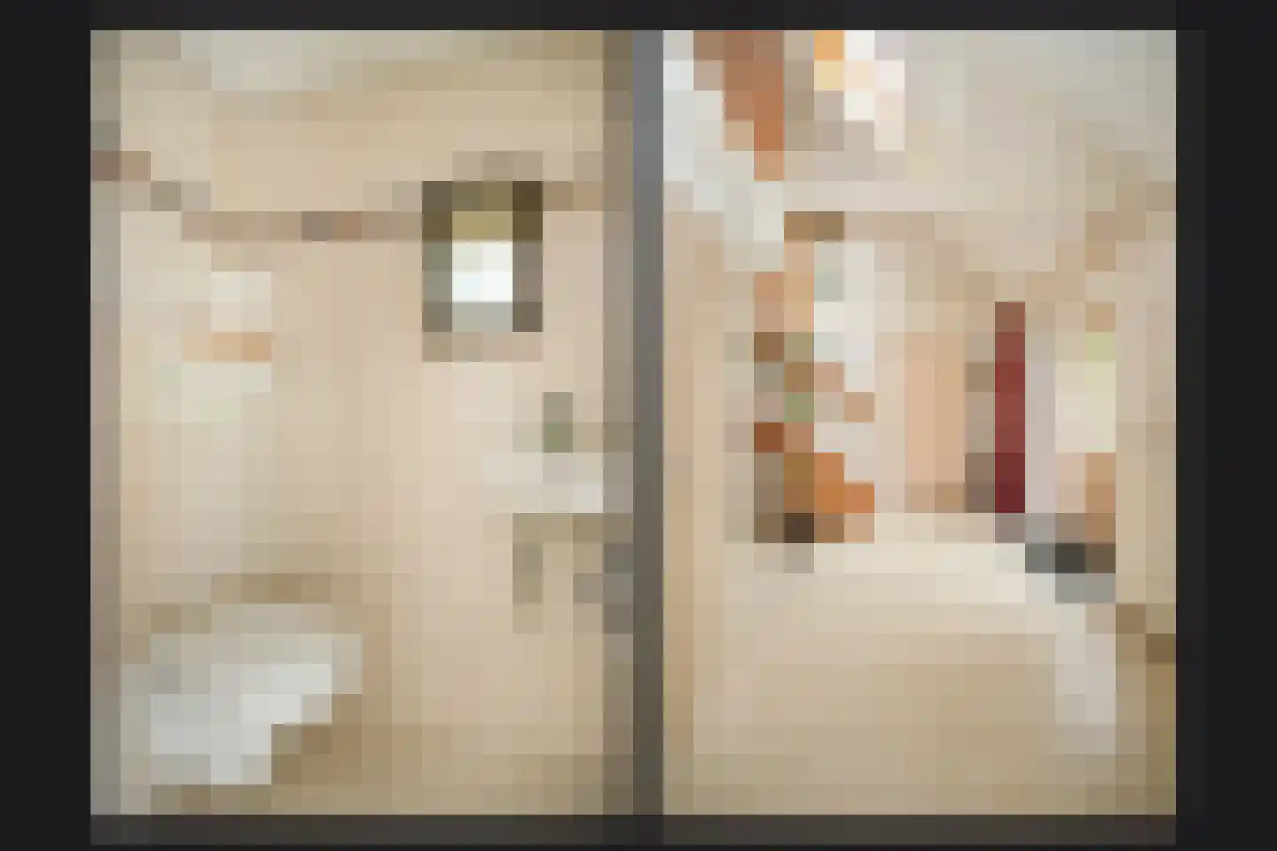 Veerstraat 9 a Dreumel thumbnail 21
