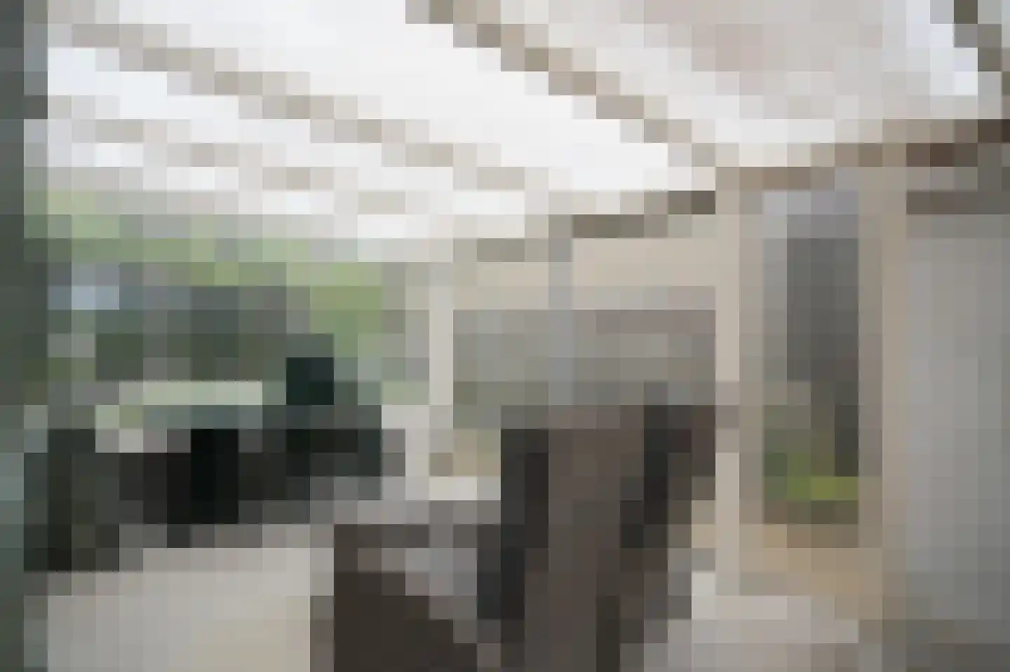 Veerstraat 9 a Dreumel thumbnail 27