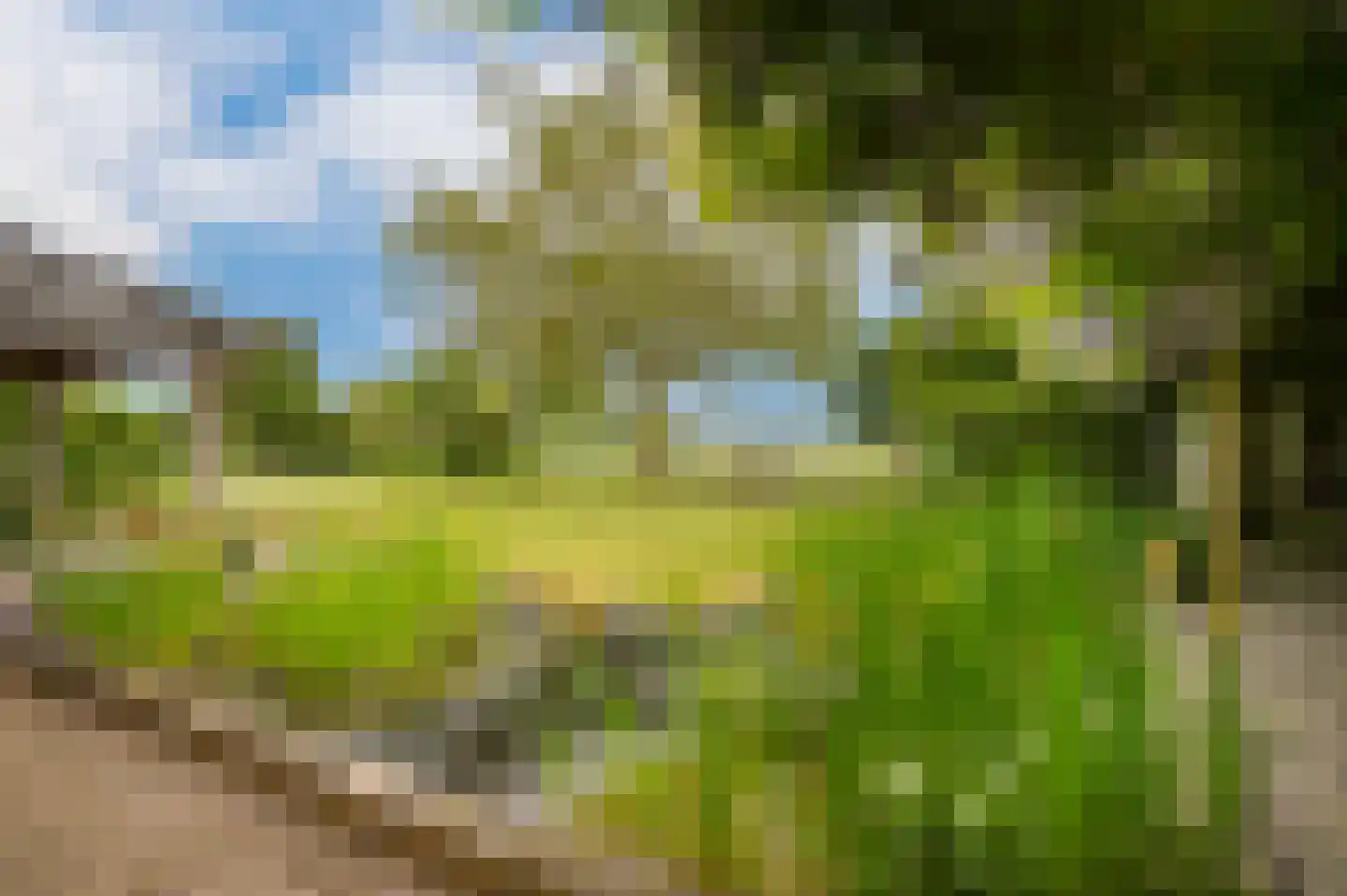 Veerstraat 9 a Dreumel thumbnail 31
