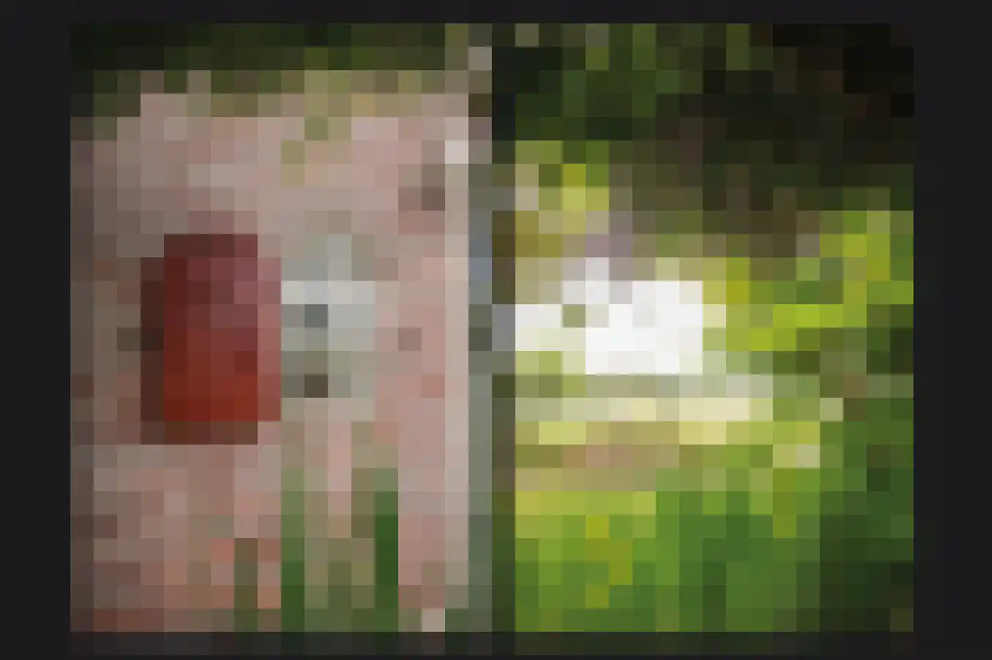 Veerstraat 9 a Dreumel thumbnail 32