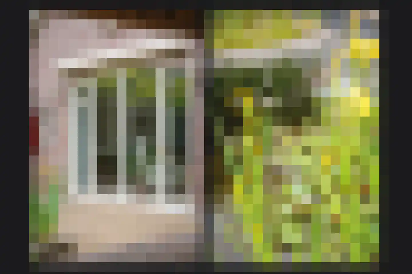 Veerstraat 9 a Dreumel thumbnail 36