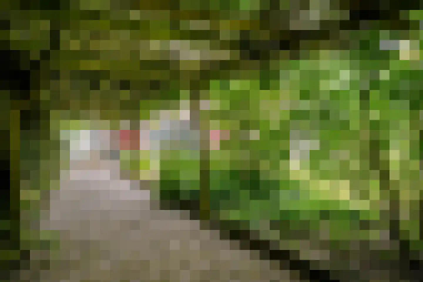 Veerstraat 9 a Dreumel thumbnail 37